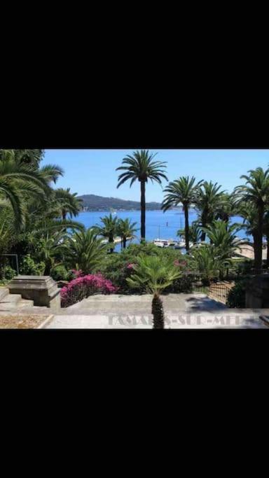 Apartamento Le Dyonisos Et Piscine La Seyne-sur-Mer Exterior foto